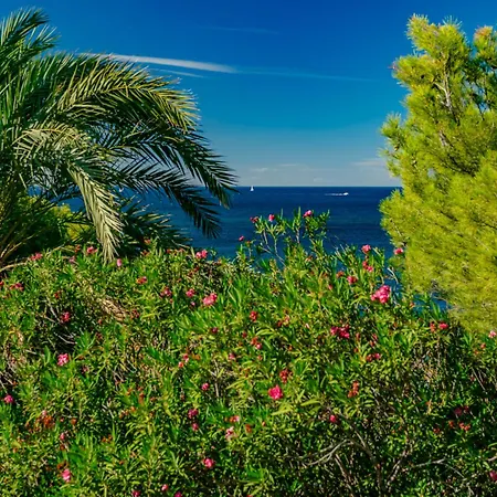 Verena By Interhome Denia